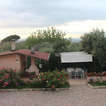 B&B La Terrazza Di Frascati Ngoại thất bức ảnh