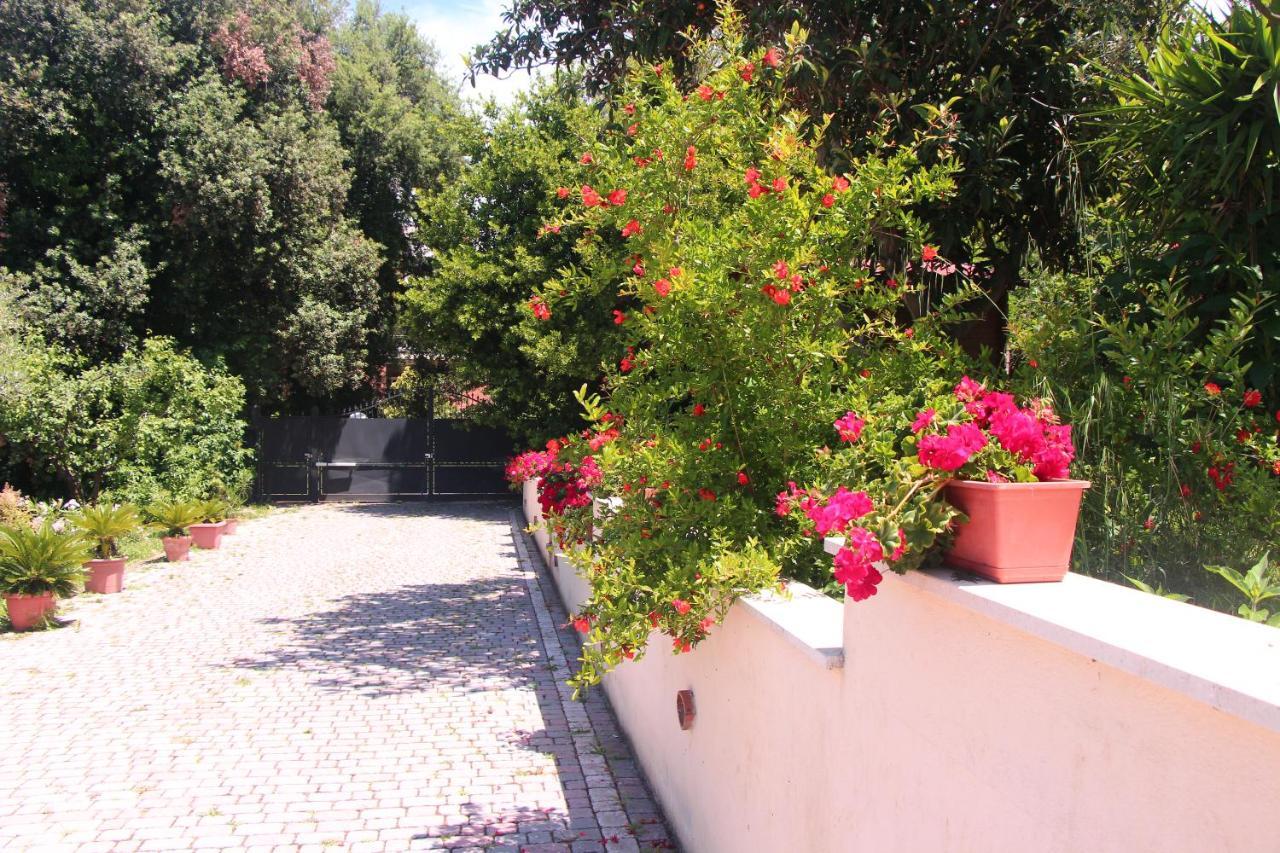 B&B La Terrazza Di Frascati Ngoại thất bức ảnh