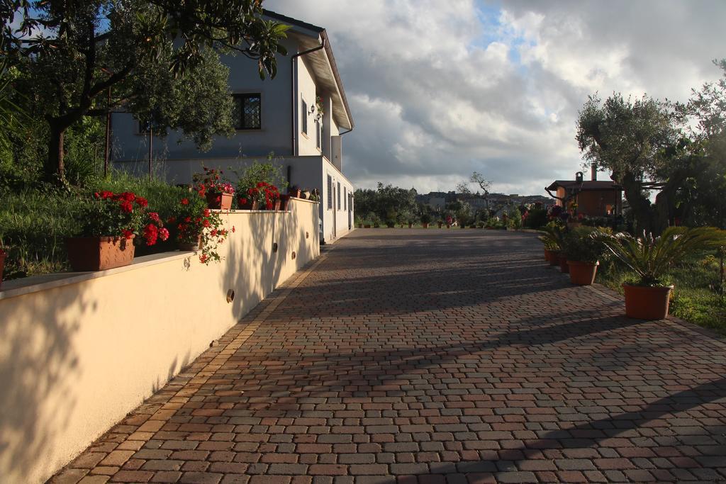 B&B La Terrazza Di Frascati Ngoại thất bức ảnh