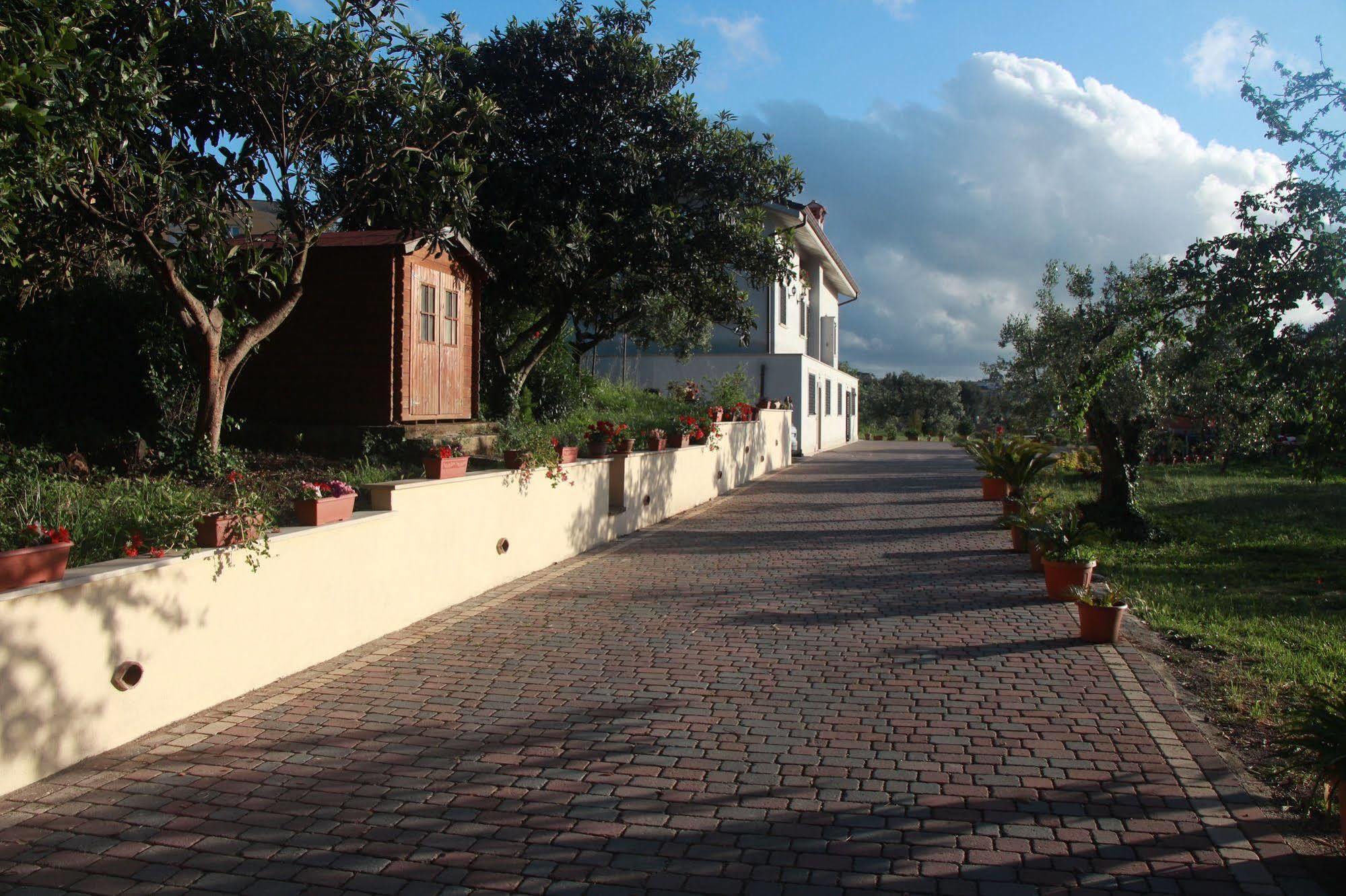 B&B La Terrazza Di Frascati Ngoại thất bức ảnh